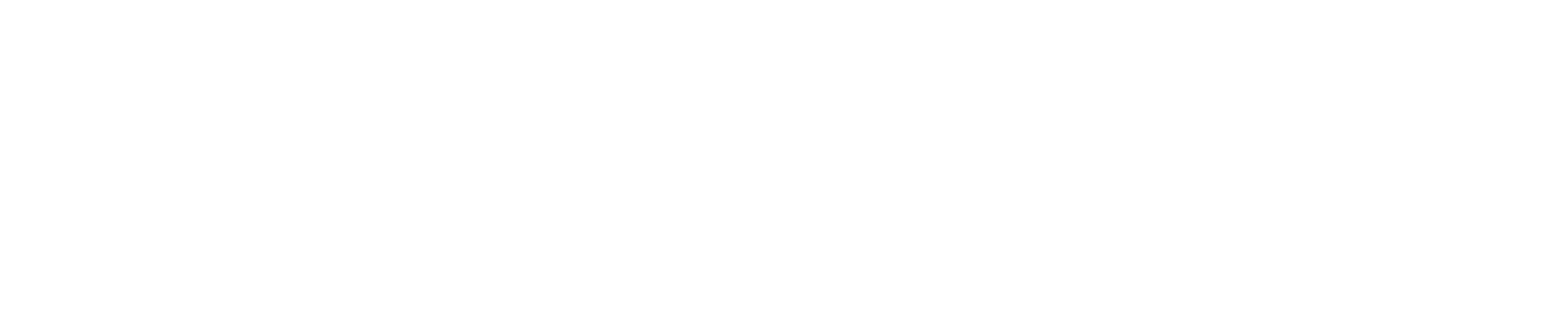 ROTAS9 Logo